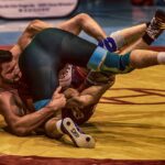 wrestle, wrestler, sports, martial arts, fighter, ring fight, ring fighters, wrestler, wrestler, wrestler, wrestler, wrestler